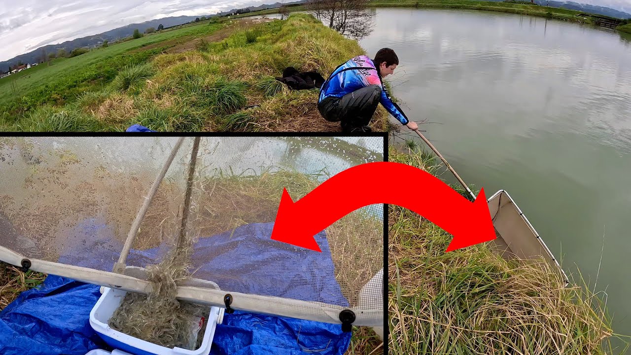 Whitebait Bypass Me And Sam Gets Some Great Shoals!