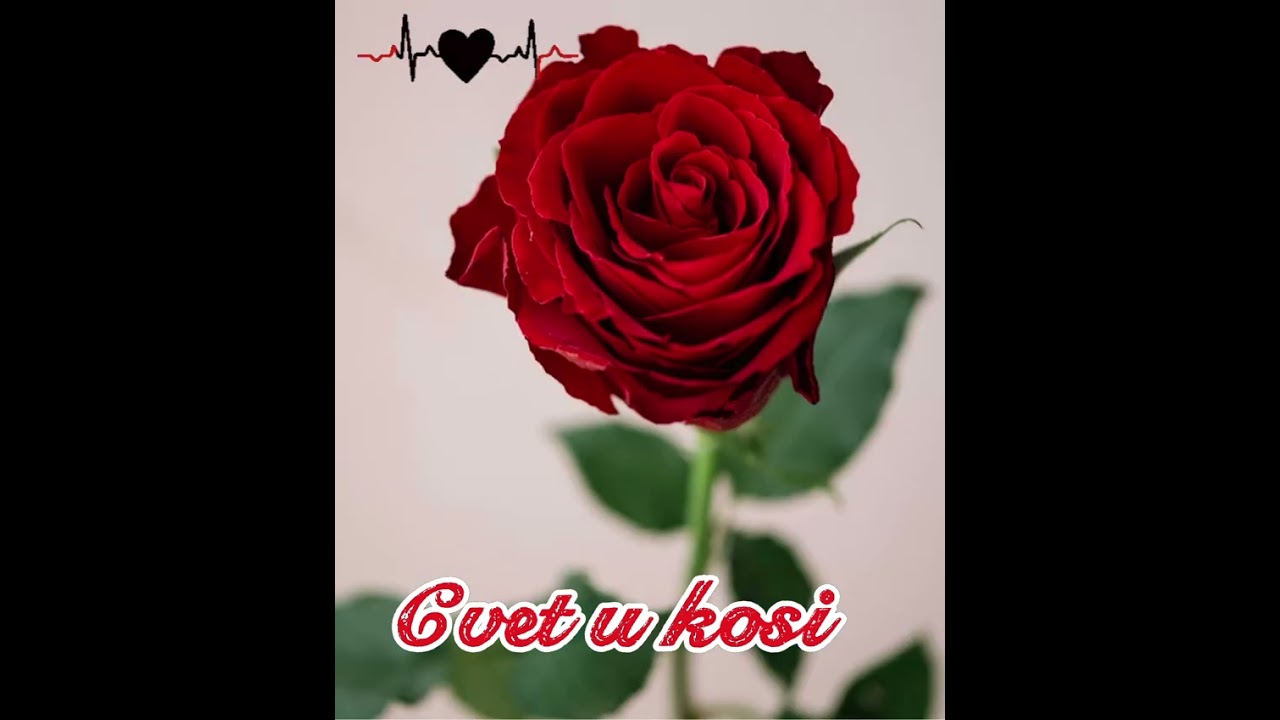 Cvet u kosi