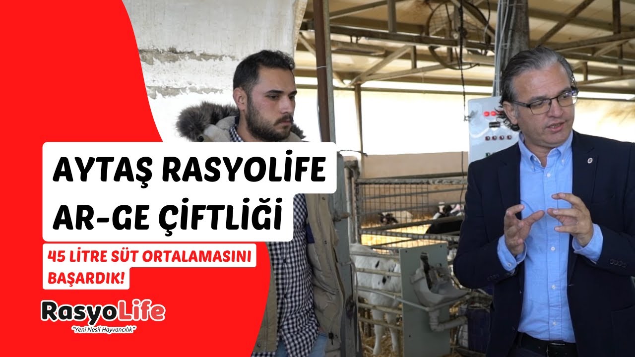 Aytaş Rasyolife AR-GE Çiftliği! (45 Litre Süt Ortalamasını Başardık)