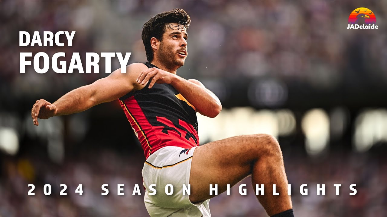 Darcy Fogarty - Best of 2024