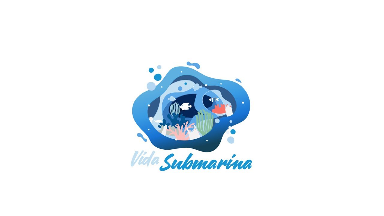 ODS 14: Vida Submarina