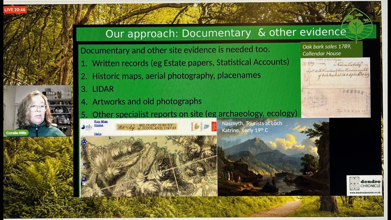 Woodland History Detectives