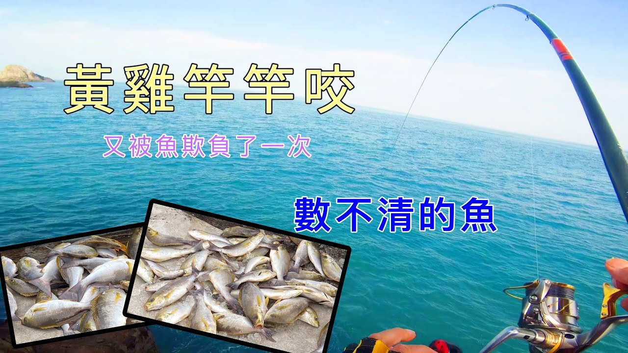 【基隆嶼磯釣】釣不完的黃雞魚竿竿咬 風大難釣不一定打得到  at 基隆嶼 Taiwan RockFishing Keelung Island