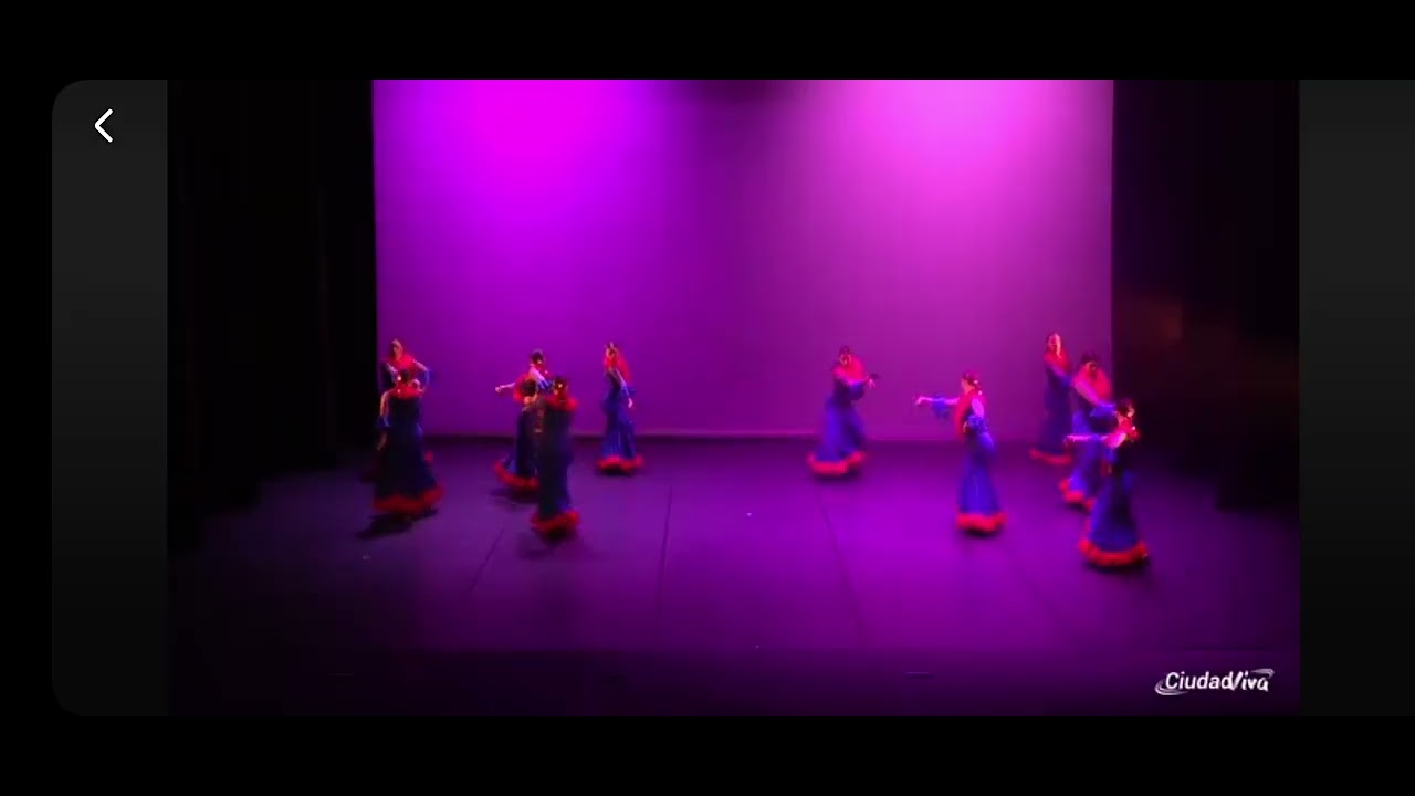 XIII Gala de Danza de Fuenlabrada, Las Flamenquitas