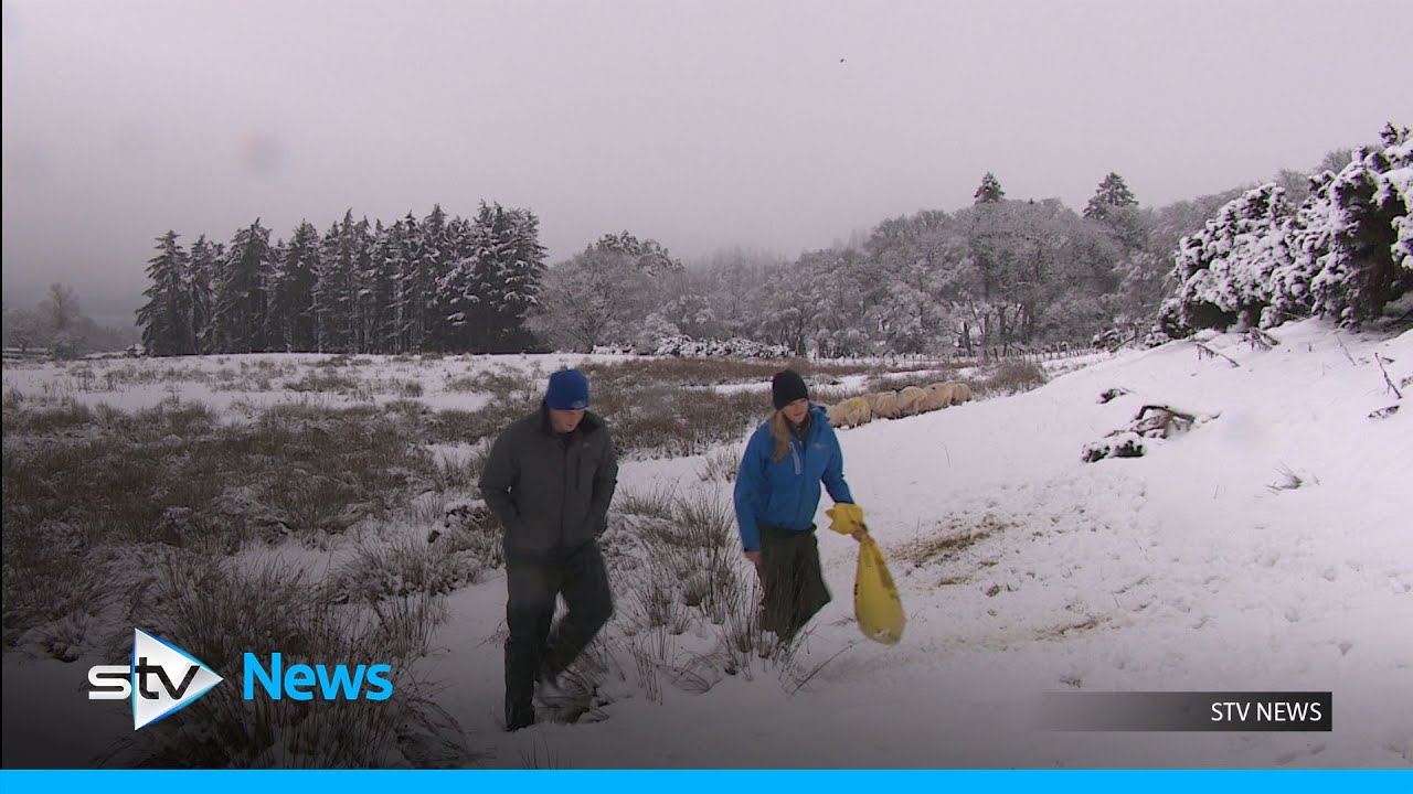 Young Scots in rural areas ‘more lonely than elderly neighbours’