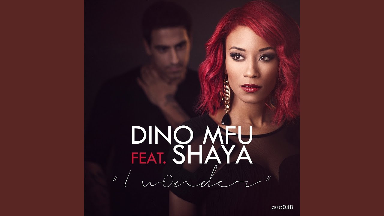 I Wonder (feat. Shaya)