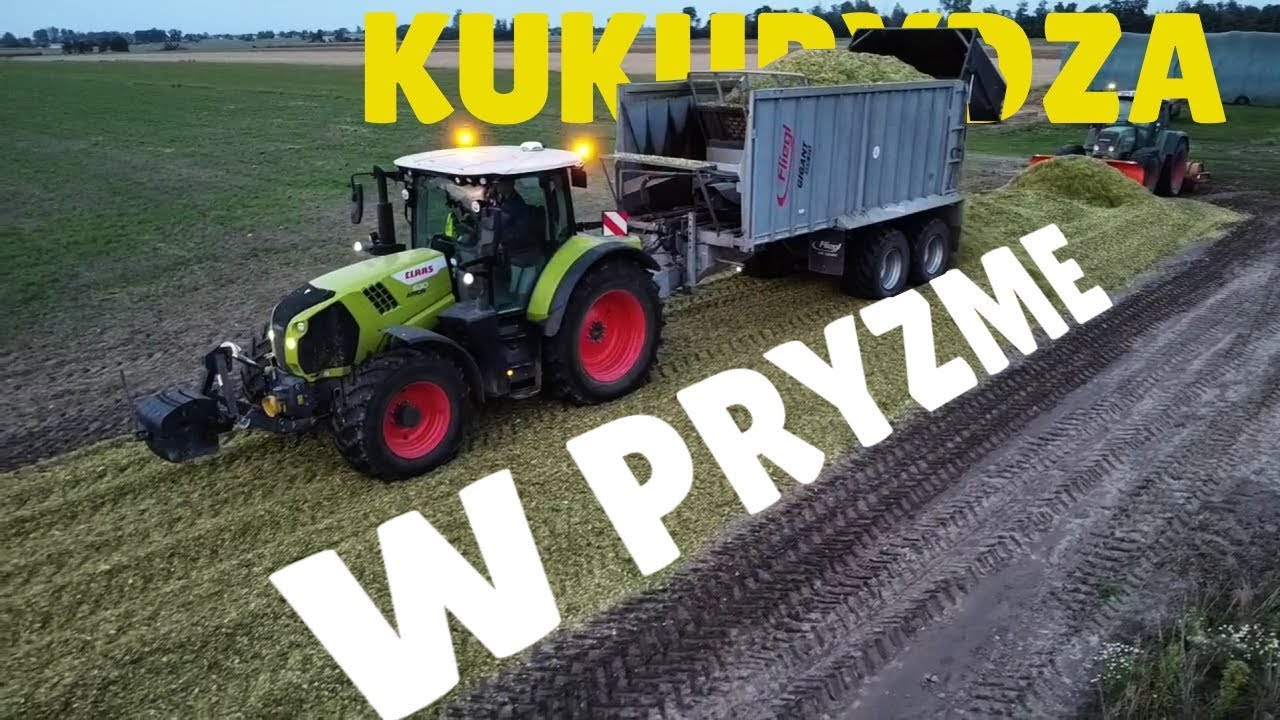 Kukurydza na kiszonkę🌾Długie pryzmy↔️Usługi Kurlapski🚜Claas | Fendt | Valtra
