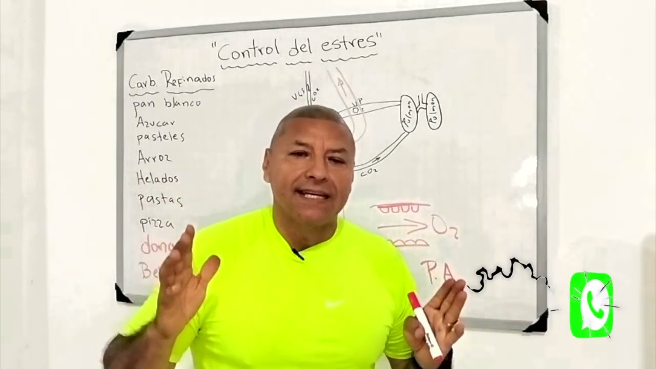 Ejercicios Anti Estrés
