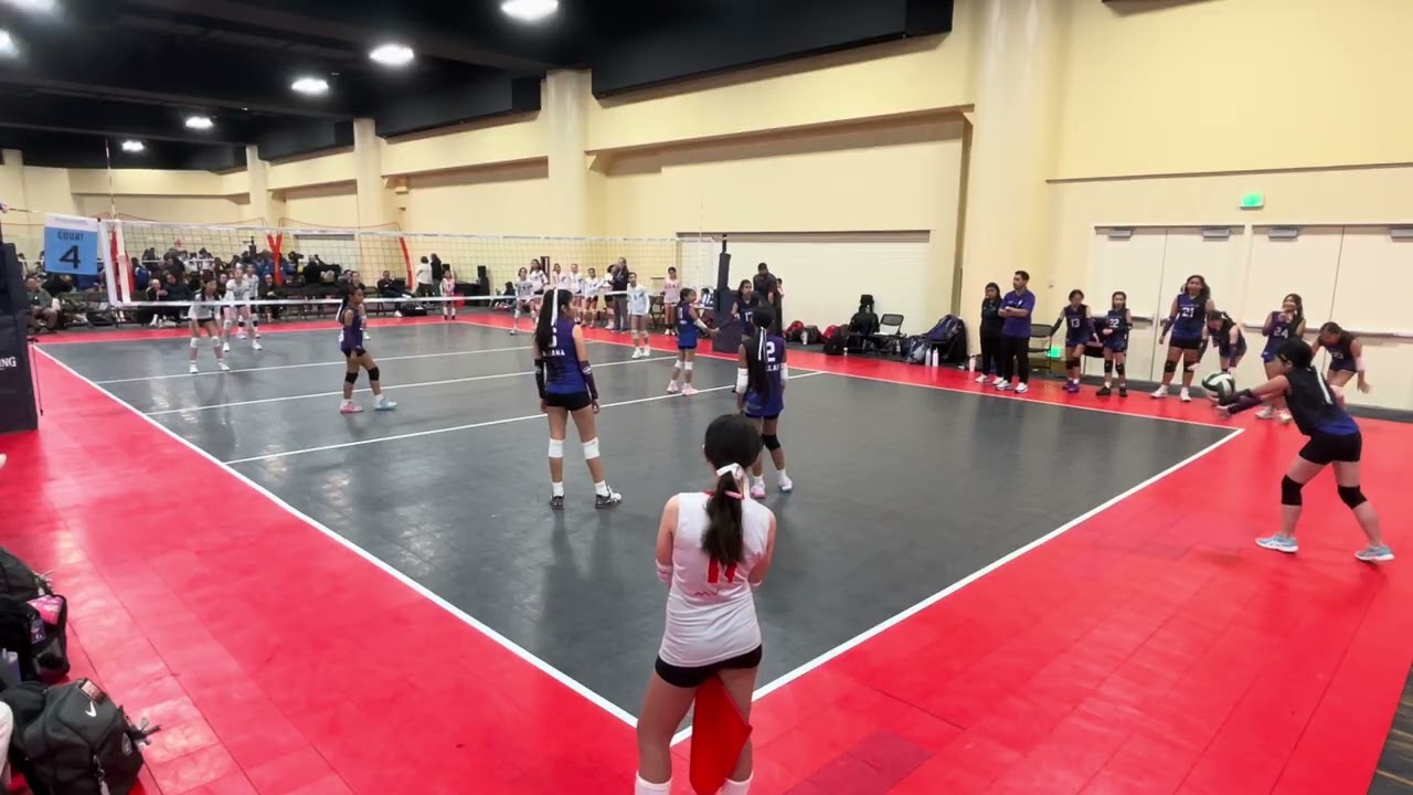 LQ Day 2, Game 3 vs City Beach 12s