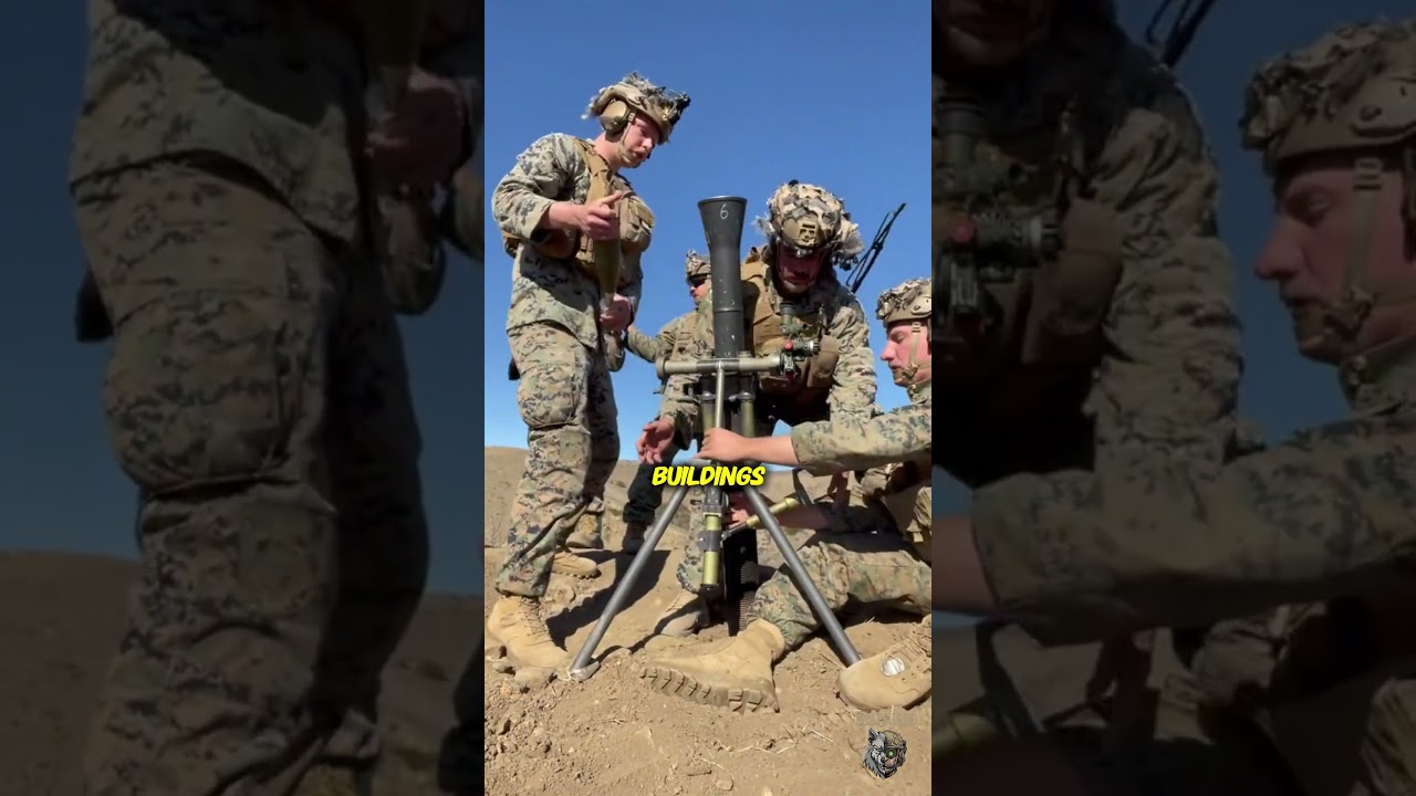 Чем на самом деле занимаются армейские рейнджеры США #армия #военные #история #viral#fyp