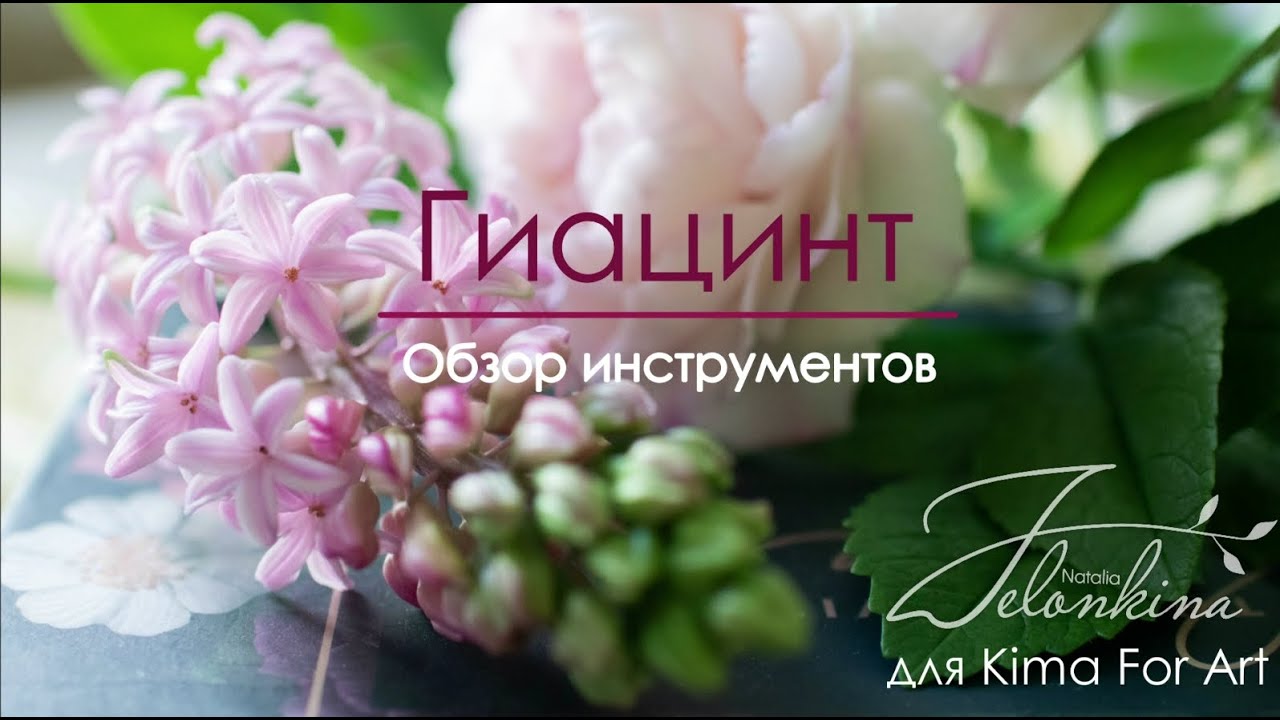 Гиацинт. Обзор инструментов