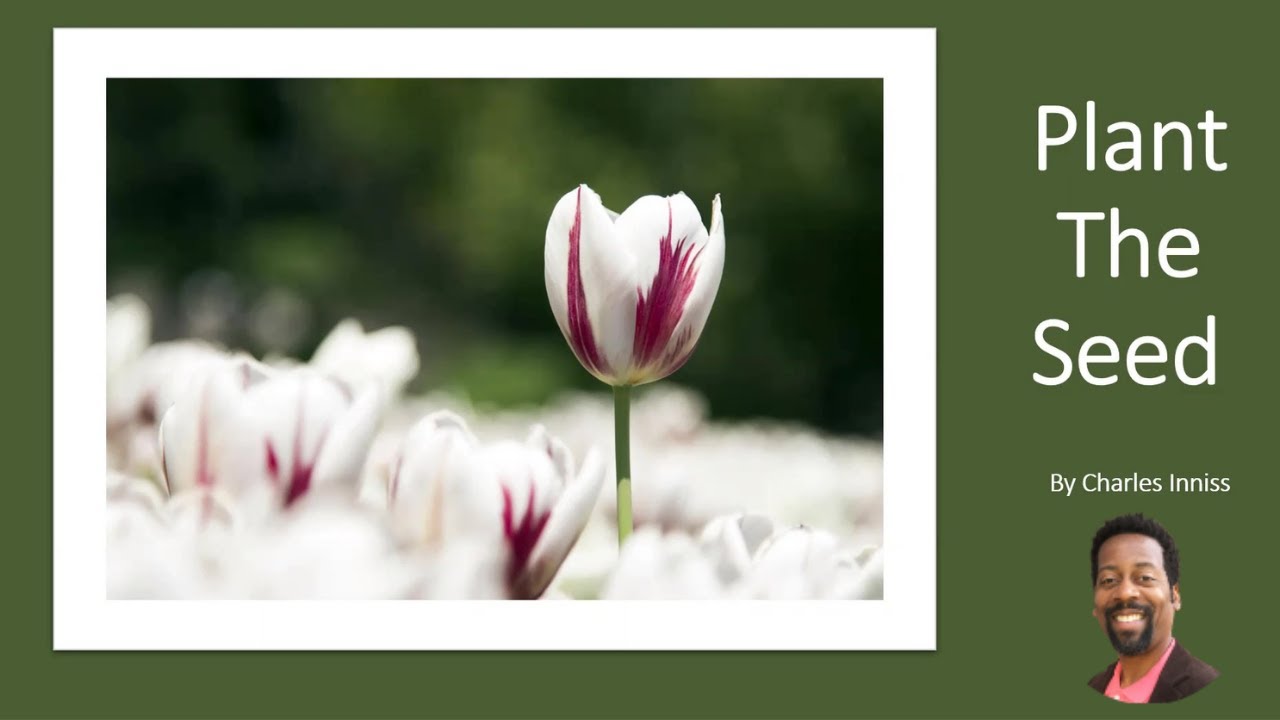 A Moment of Inspiration: Plant the Seed
