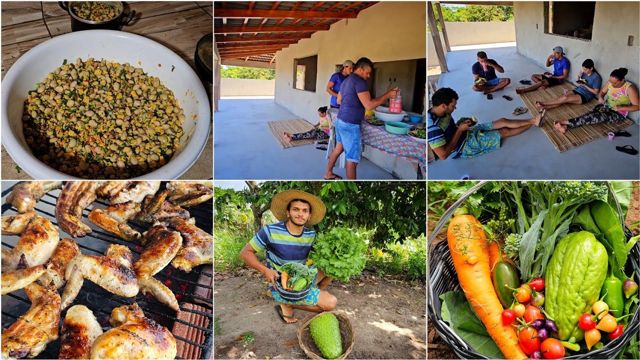 Colheita de fava e almoço com fava tropeira e churrasco na minha casa nova
