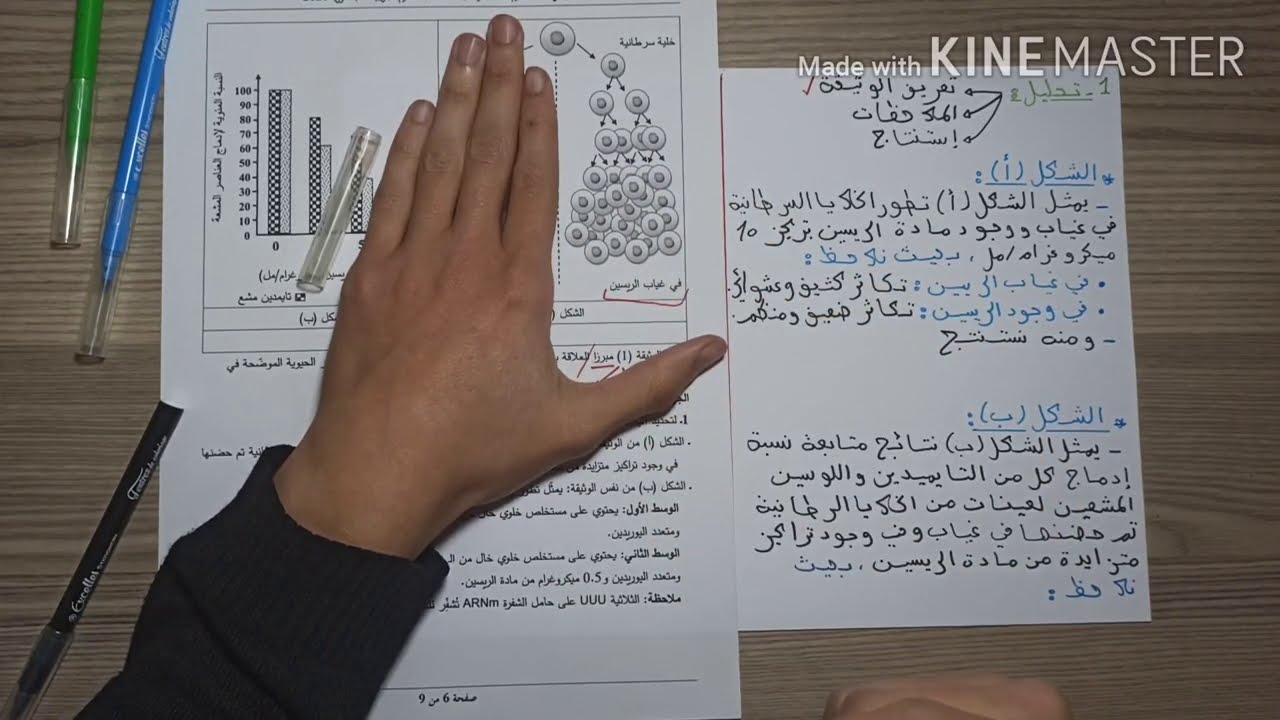 #التمرين الثاني لتعلم المنهجية : بكالوريا 2020 (الوحدة الأولى تركيب البروتين) تعلم التحليل بإمتياز 👌