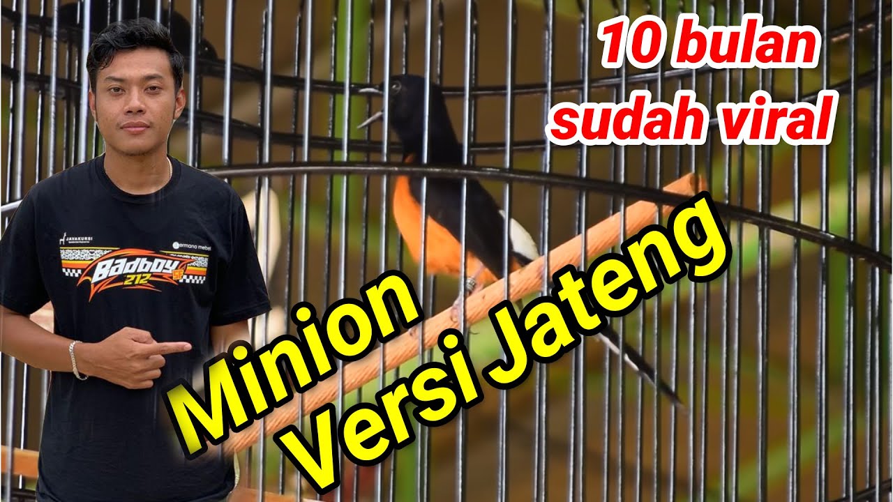tawaran datang tapi sayang ‼️ lebih keren dari minion ⁉️ ju 1,2,2 🔥🔥🔥