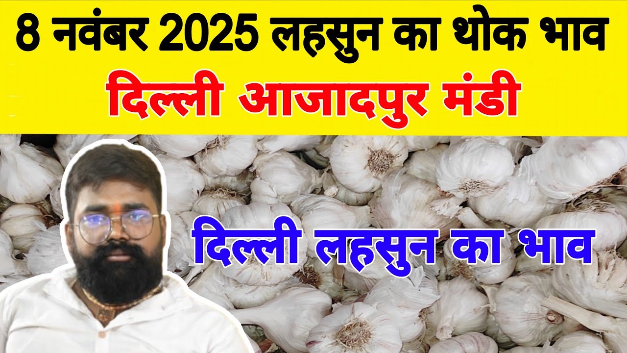 8 Nov 25 | Today Garlic Market Price | Garlic Price The Shocking Prediction #mandirates #garlic