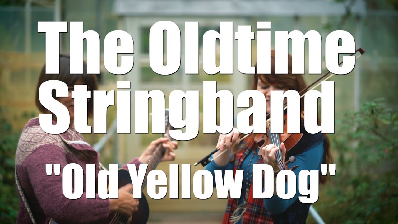 The Oldtime Stringband - Old Yellow Dog