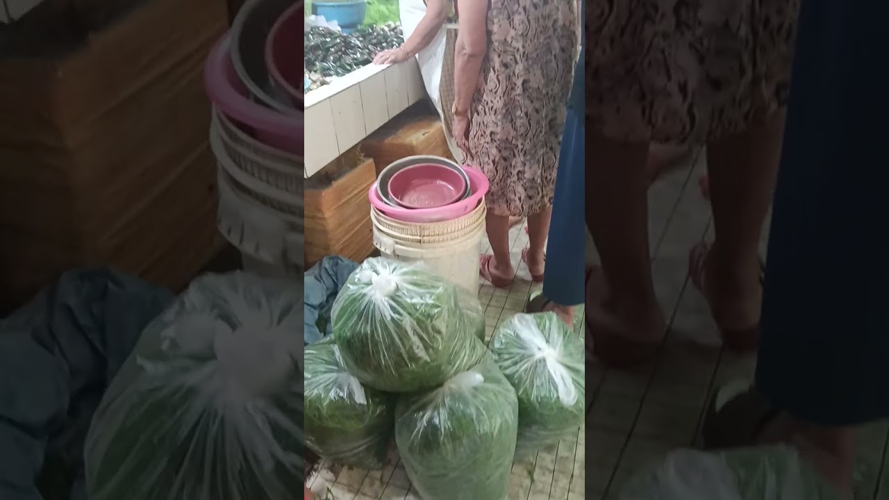 Carbon Market