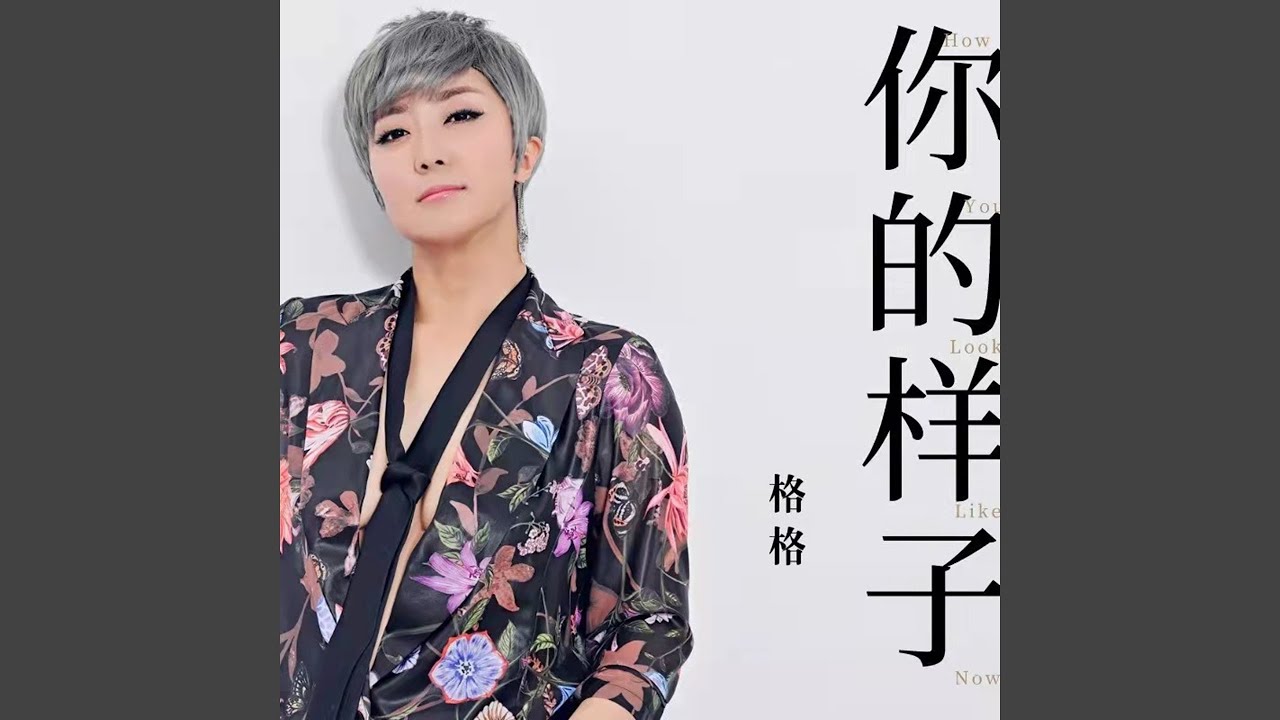 你的样子 (DJheap九天版)