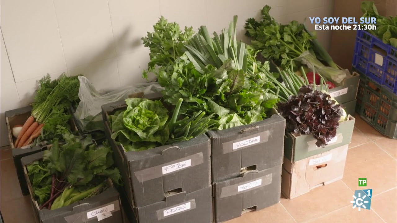 Campechanos |  Joyas culinarias por la red, agricultura ecológica y cetrería