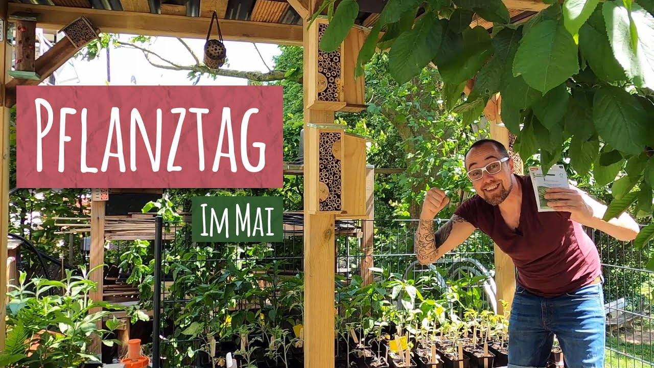 Pflanztag im Mai 👨&zwj;🌾 Tomaten Paprika Zwiebel Karotten Gem&uuml;se im Garten anbauen Selbstversorgung