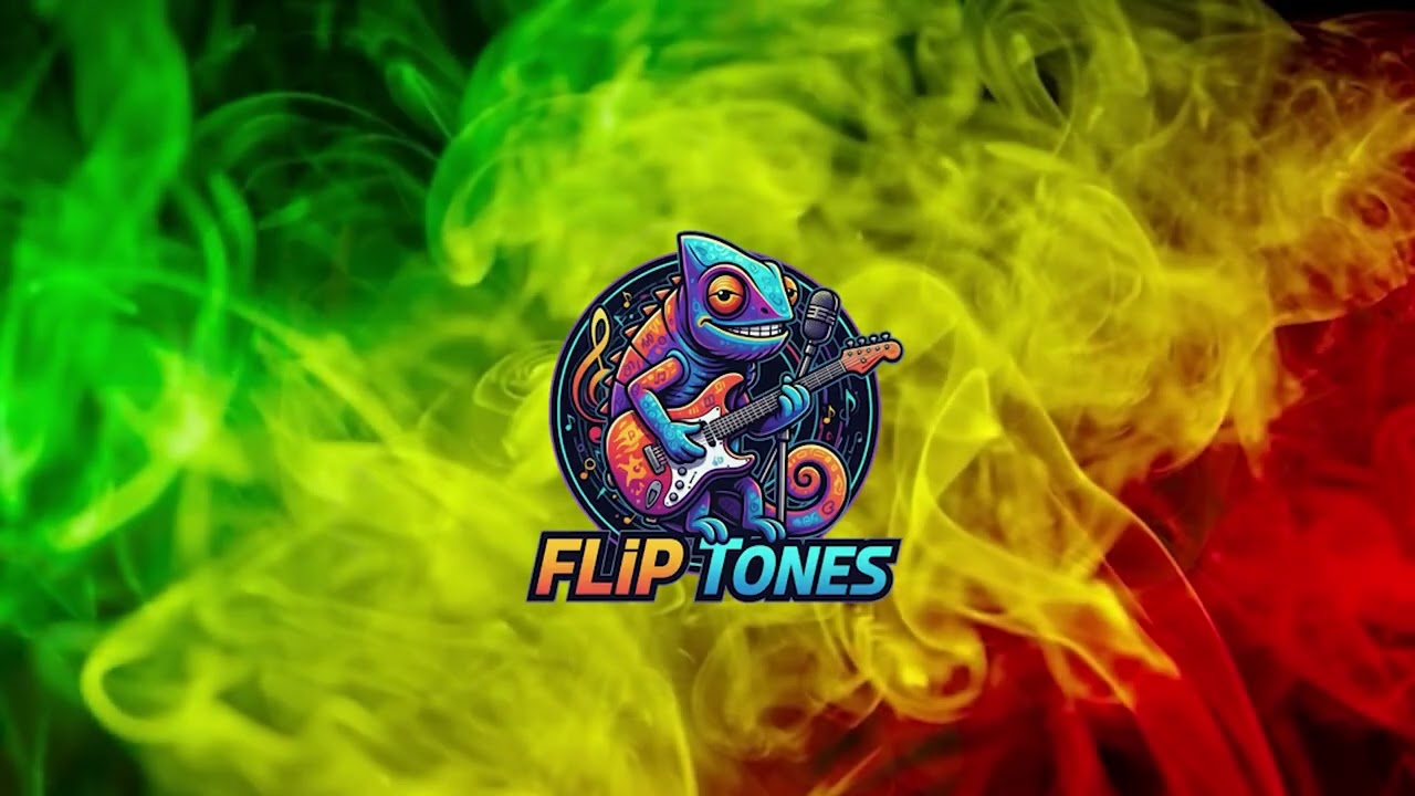 REGGAE COVERS VOL.1 - 1H non-Stop Mix (JuL, Diam's, Manau, Aya Nakamura, Gims, Bouss, Tay'C, ...)