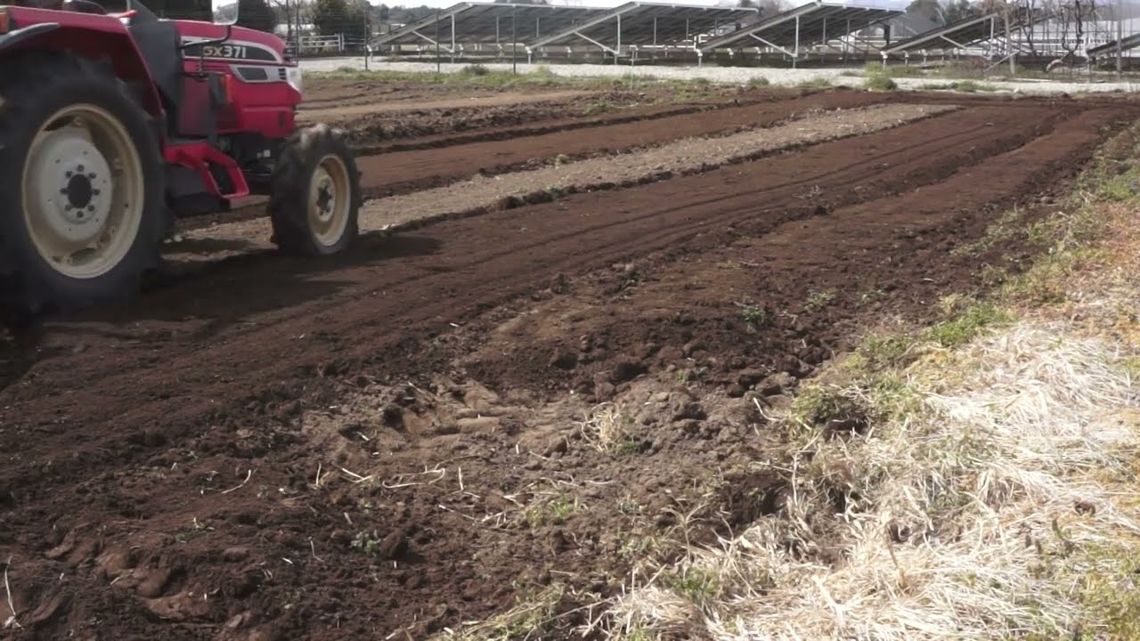 野菜畑耕起　ネギ移植準備