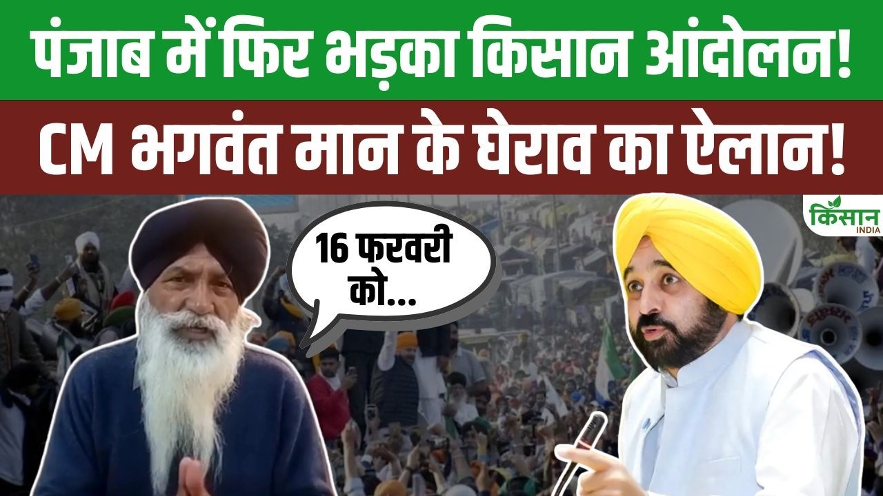 Punjab में एक बार फिर भड़क रहा Kisan Andolan! 16 फरवरी को CM Bhagwant Mann का घेराव करेंगे 11 संगठन!