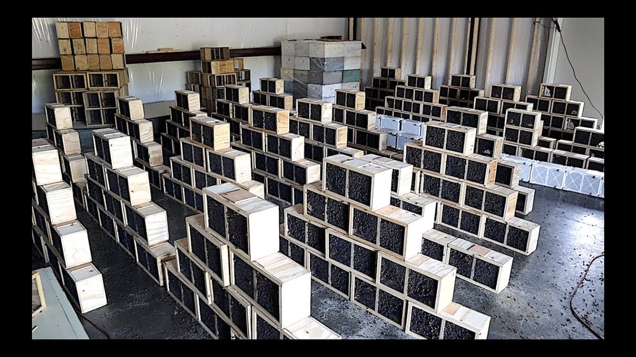 Transporting package bees