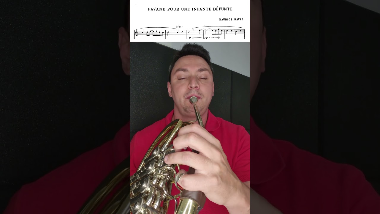 Pavane - Maurice Ravel - Hornsolo #trompa #trumpet #beethoven #music #hornsolo