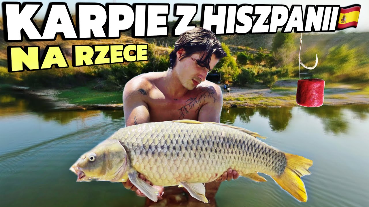 REKORDOWE KARPIE NA RZECE - Tak Się Łowi na EBRO!