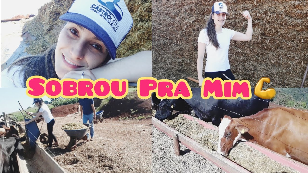 TRATANDO DAS VACAS DE LEITE AQUI NO S&Iacute;TIO 🐄🌽| VLOG RURAL 👩&zwj;🌾
