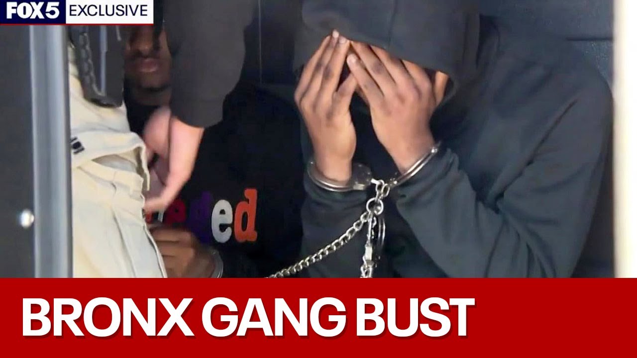 Inside NYPD's Bronx gang takedown
