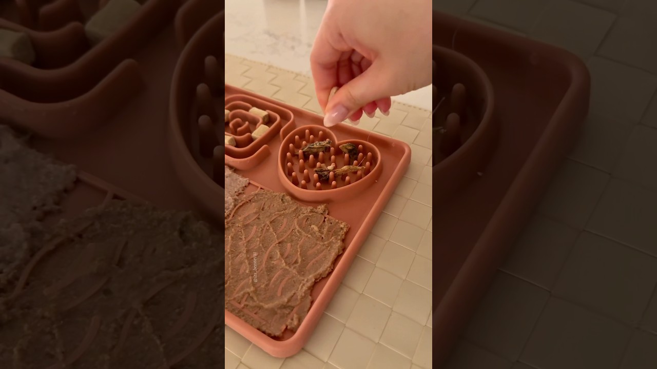 Enrichment mat for my cat!! 🎧#ragdollcat #enrichment #asmr #asmrsounds #catfood #catfeeding