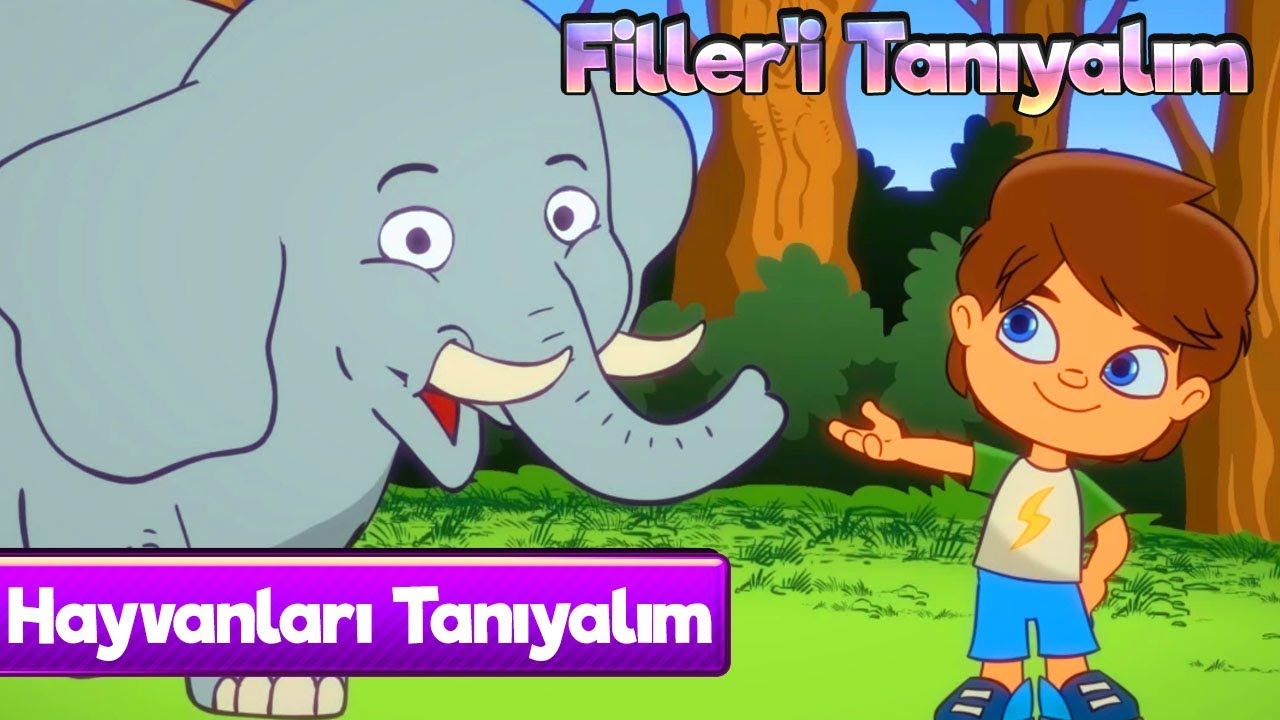 Hayvanları Öğreniyoruz 🐘 Filler Okul Öncesi Çizgi Film