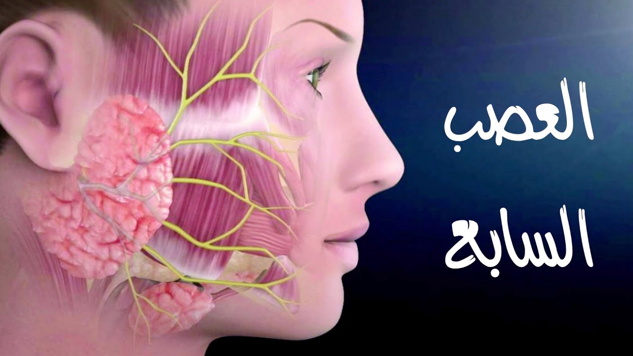 شلل الوجه النصفي  ( العصب السابع )