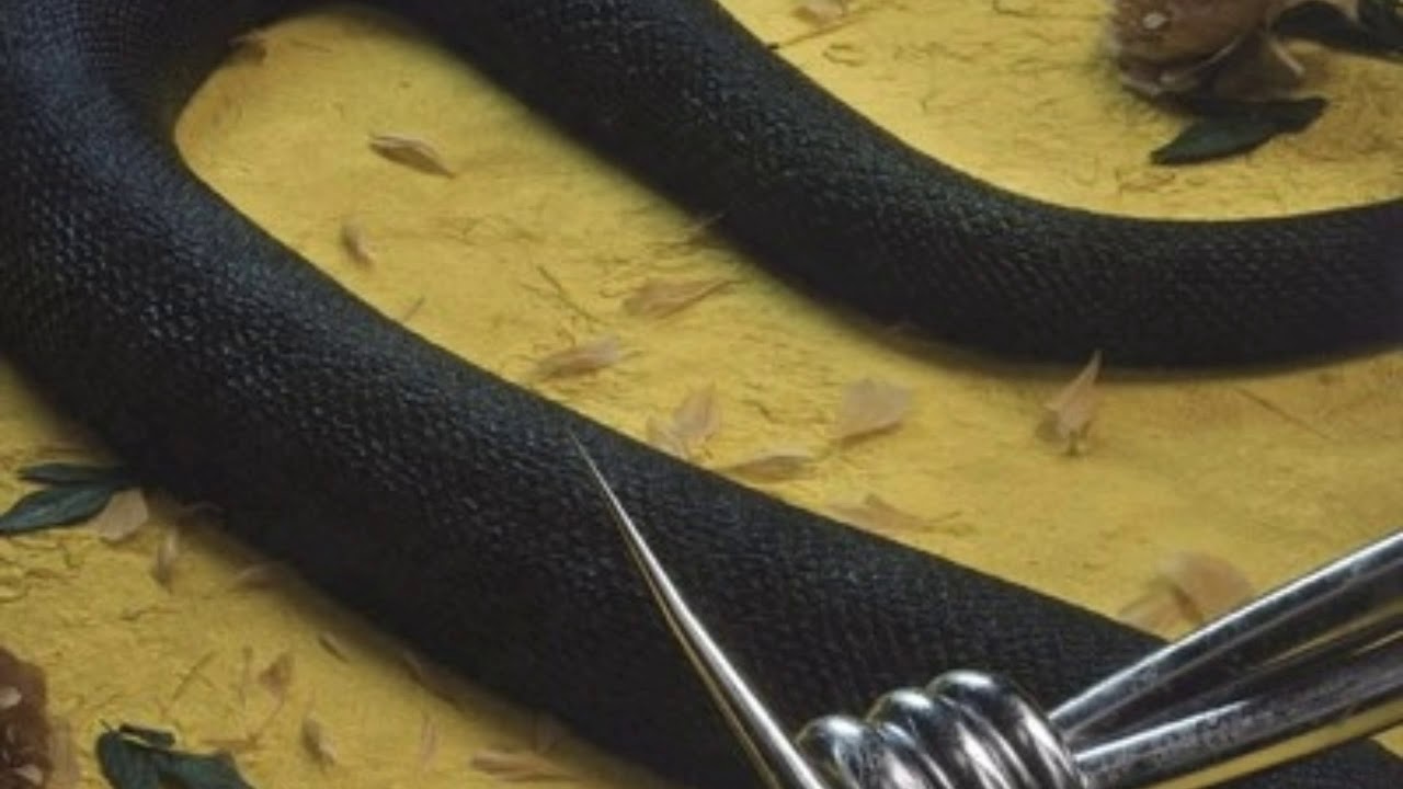 Post Malone-rockstar (ft. 21 Savage) (Clean)