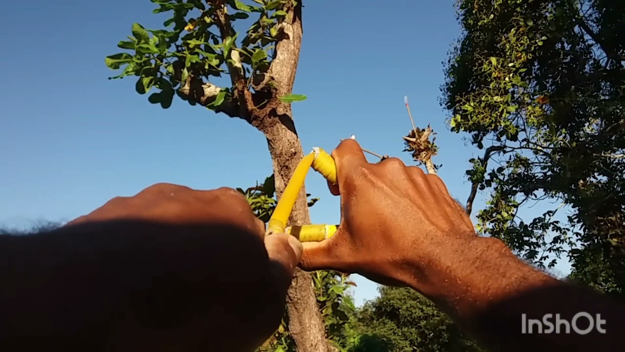 dicas   muito   boa   pra  você    fica    fera  no  estilingue