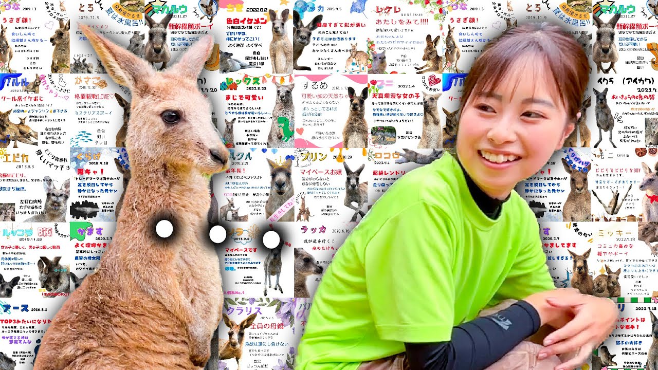 愛が重めの飼育員にカンガルーの見分け方を頼んだらこうなった…