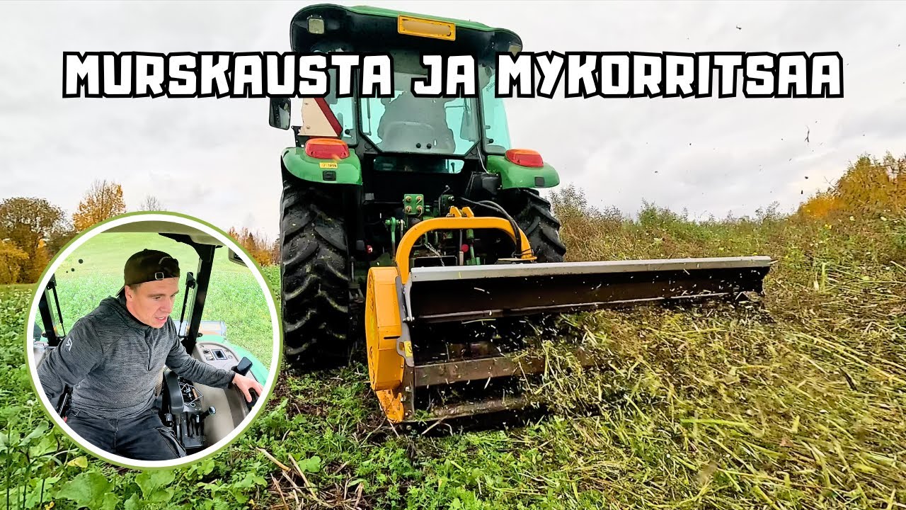 Viimeisiä peltotöitä ja mykorritsaa