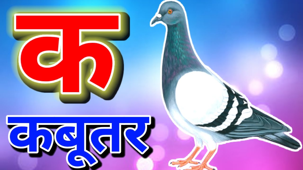 हिंदी वर्णमाला K से Kabutar | बच्चों के लिए मजेदार वीडियो। ABCD। A for apple। #kidssong #kids