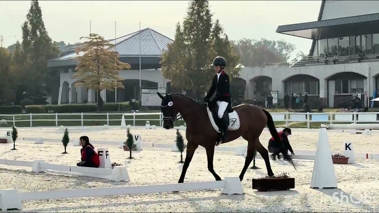 全日本学生馬術大会2025　第68回全日本学生賞典総合馬術競技大会　馬場馬術競技　4年　奥田記枝　桜恋