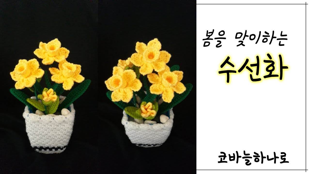 [코바늘하나로] 봄을 맞이하는 아름다운 수선화 화분 만들기