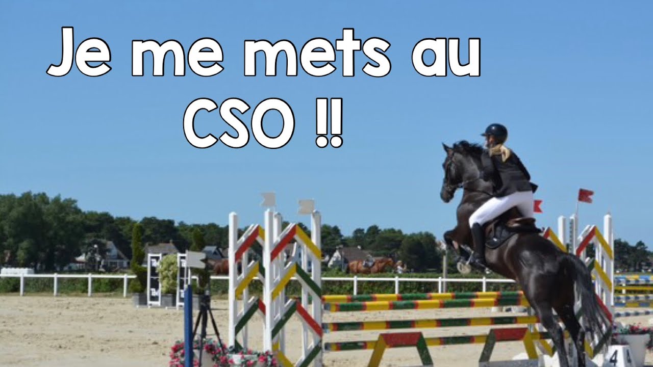 J’ARRÊTE LE DRESSAGE ?!