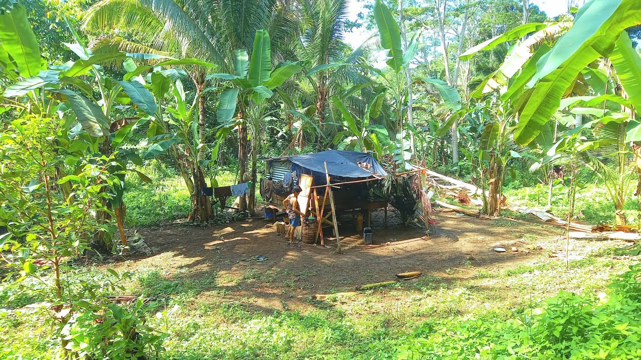 Off-Grid Living in Philippines 🇵🇭 