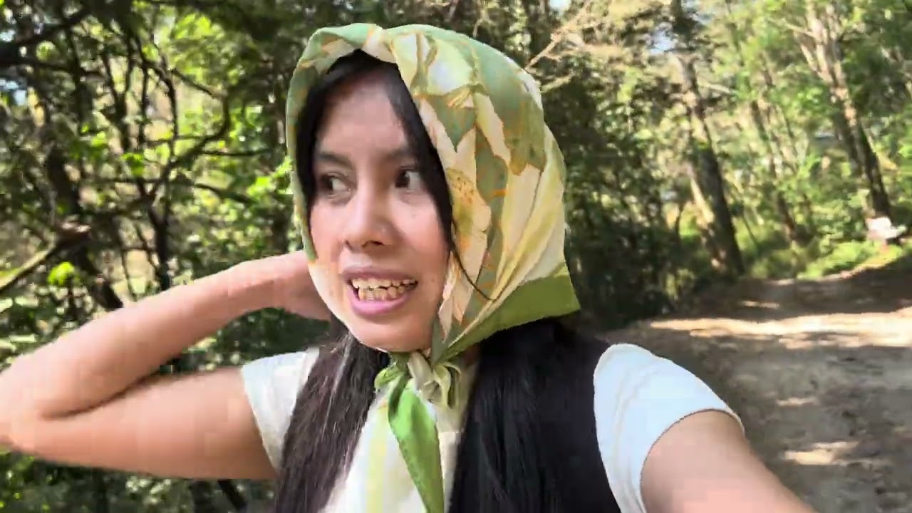 Tarebhira Vlog(solo hike) (Shivapuri national park ) Kathmandu 