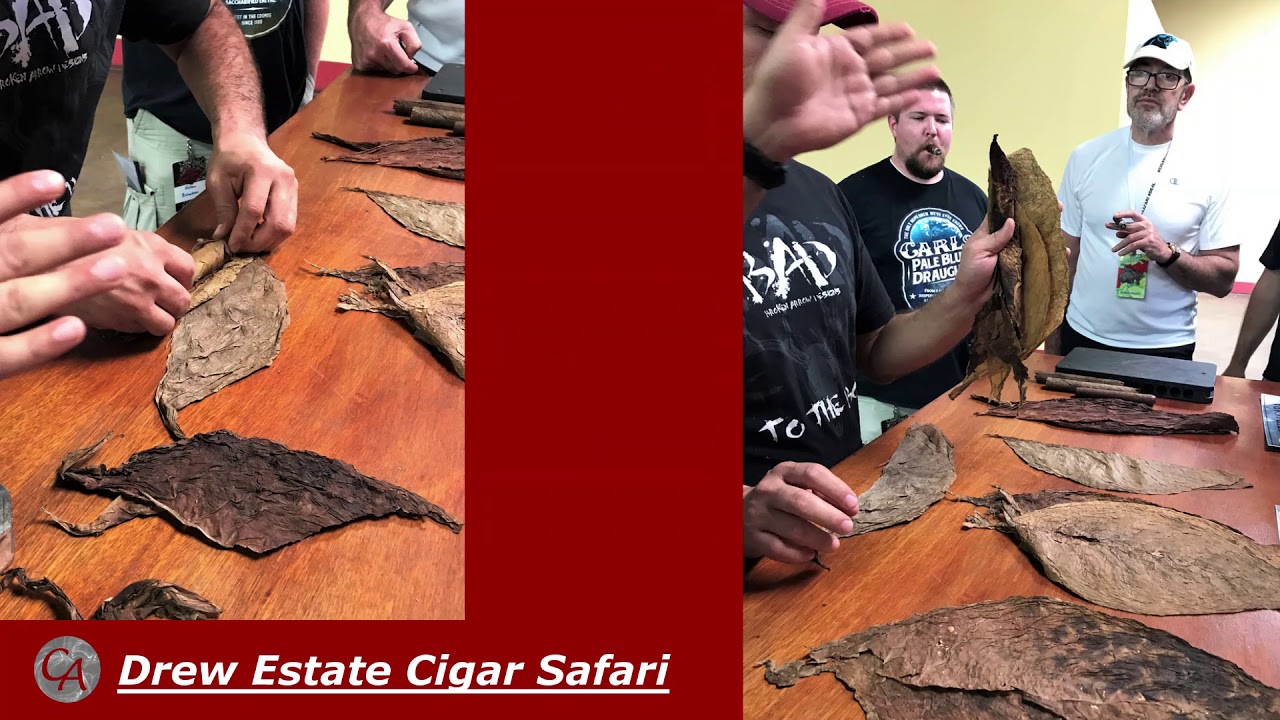 Drew Estate Cigar Safari 2017   Day 1 & 2 Video Recap