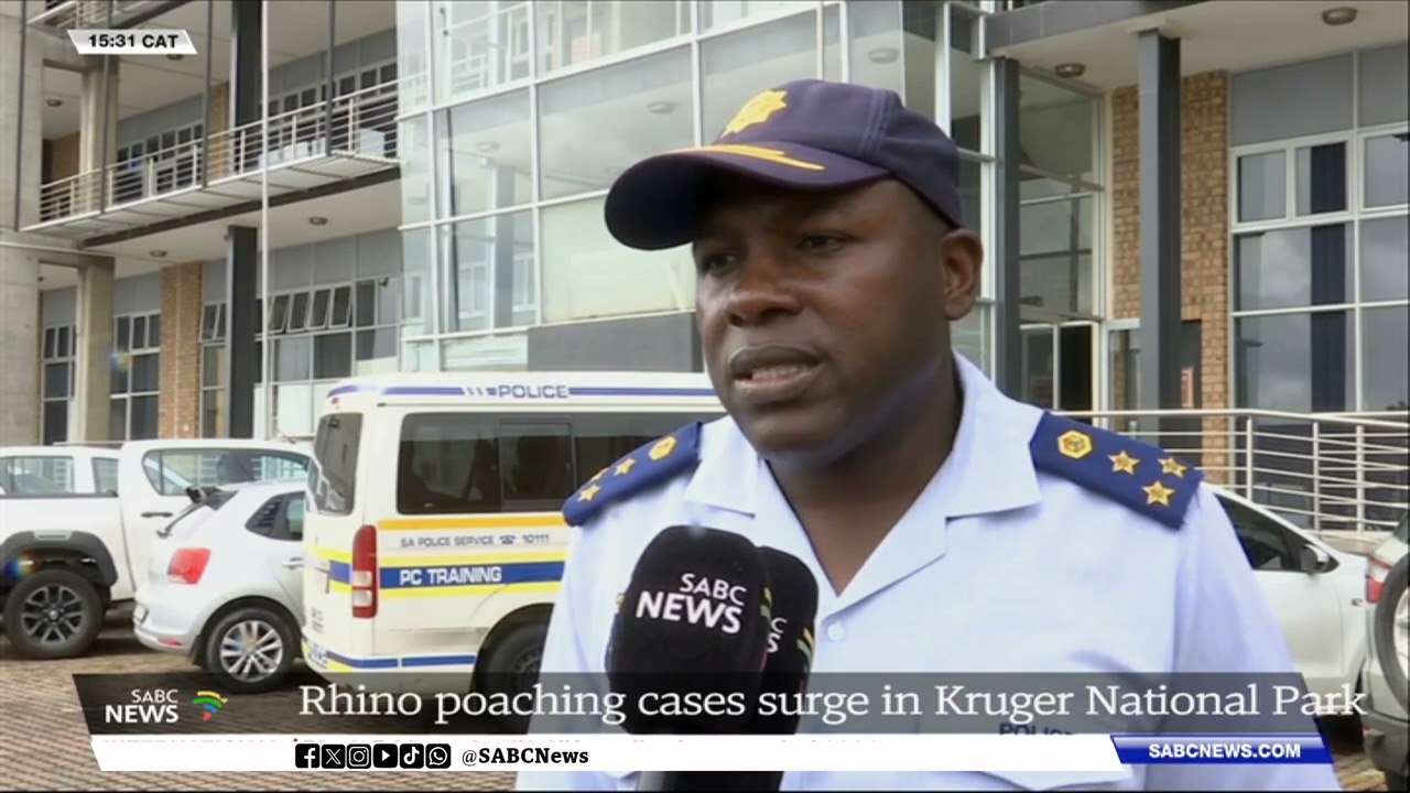 Rhino poaching cases surge in Kruger National Park