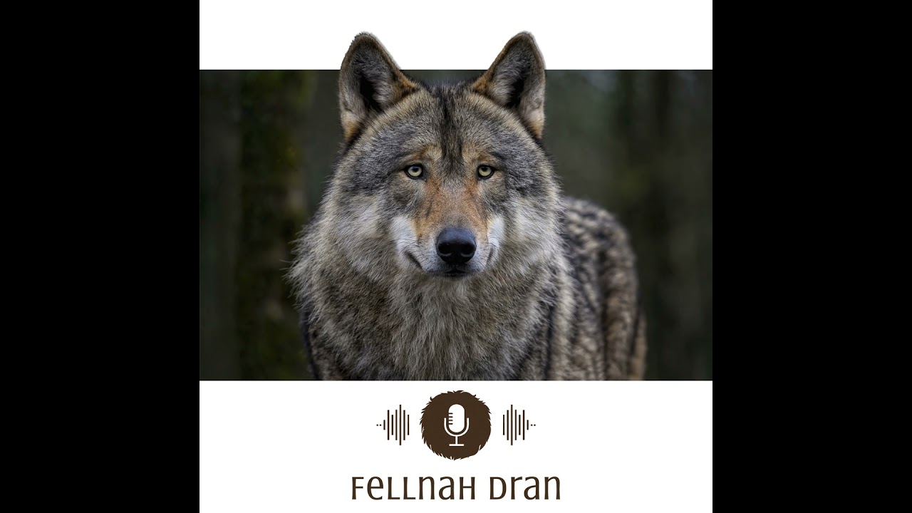 #10: Der Wolf im Fadenkreuz der Politik