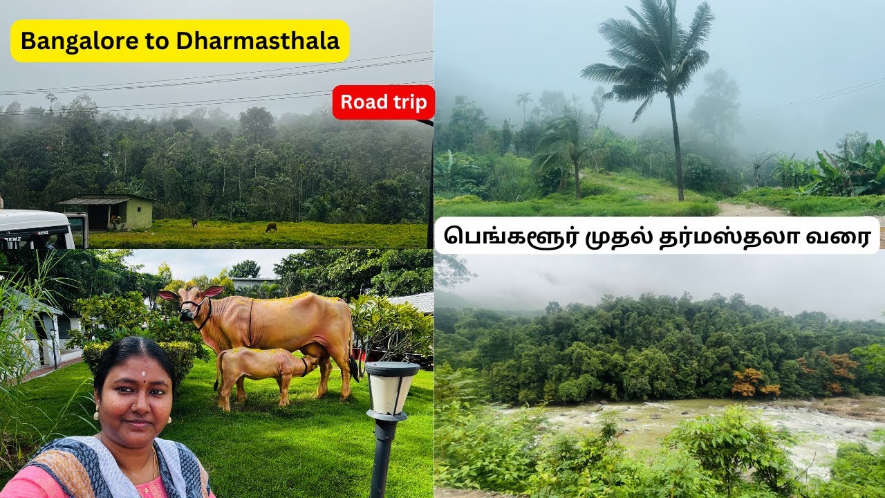 பெங்களூர் முதல் தர்மஸ்தலா வரை | Bangalore to Dharmasthala Travel Vlog | Road trip | Karnataka Travel
